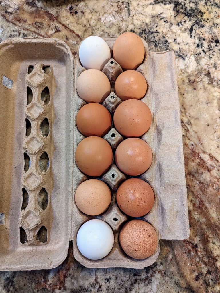 Farm Fresh Eggs |  Free-Range, Local Eggs | Buy Fresh Farm Eggs Online