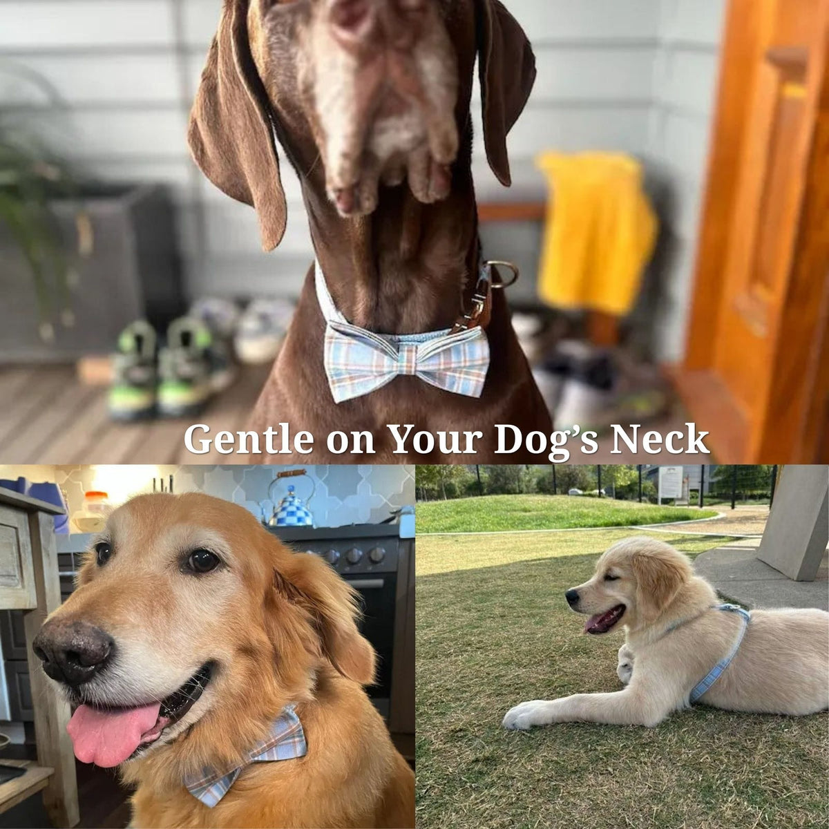 Personalized No-Pull Dog Harness Set – Blue Plaid | Custom Collar, Leash & Engraved Hardware