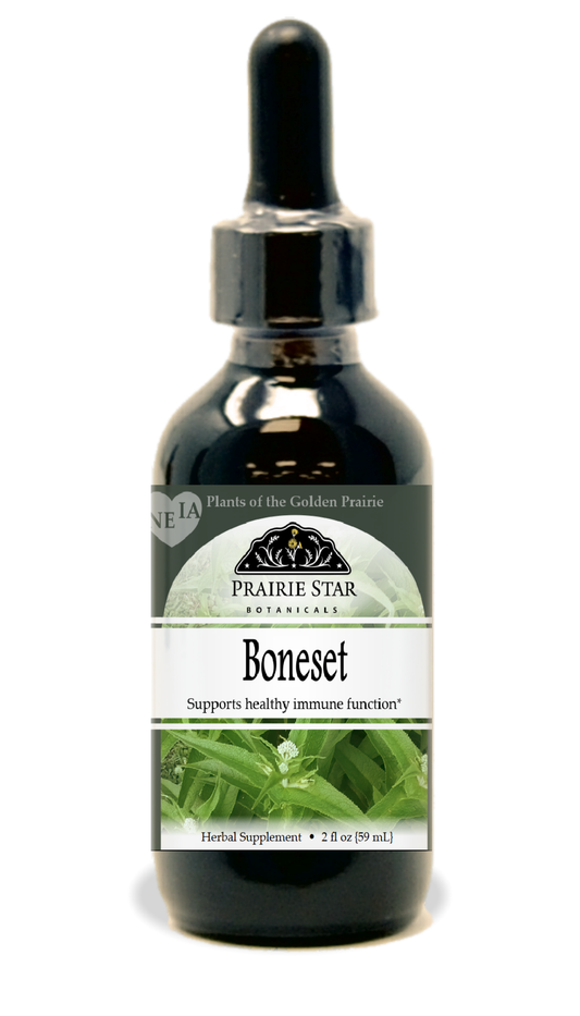 Boneset