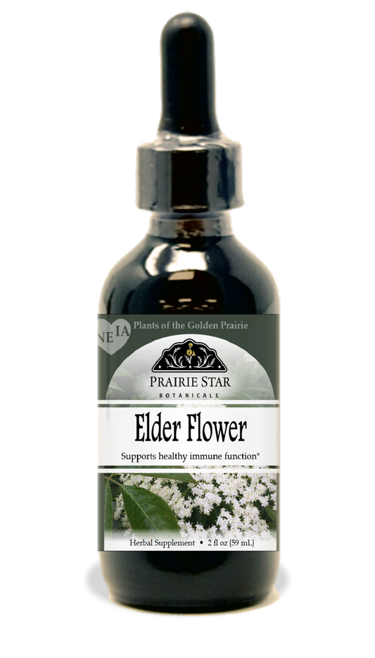 Elder Flower