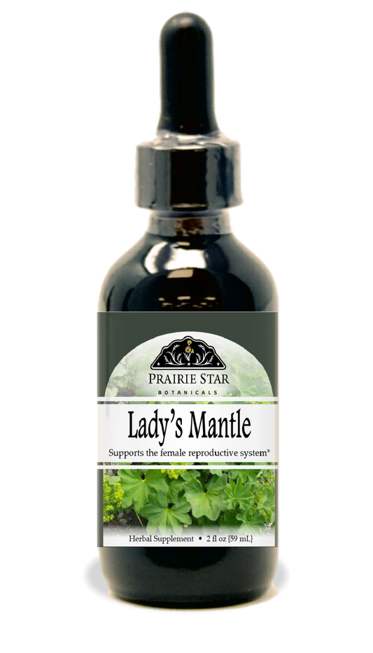 Lady's Mantle