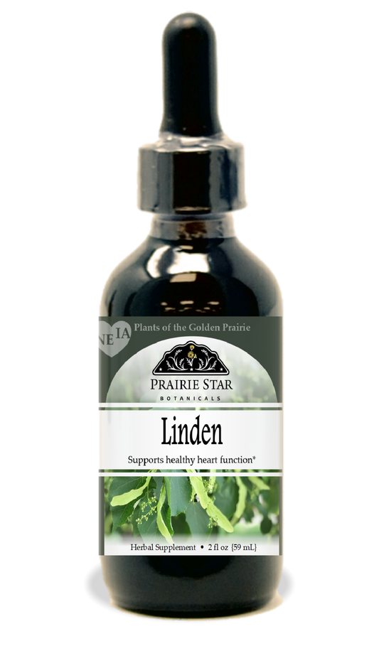 Linden