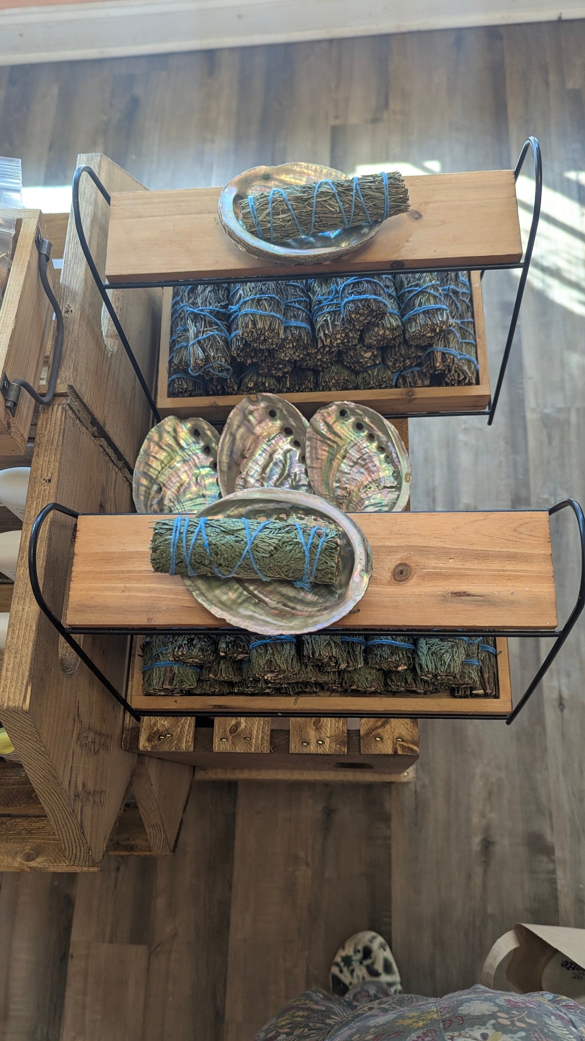 Abalone Shell