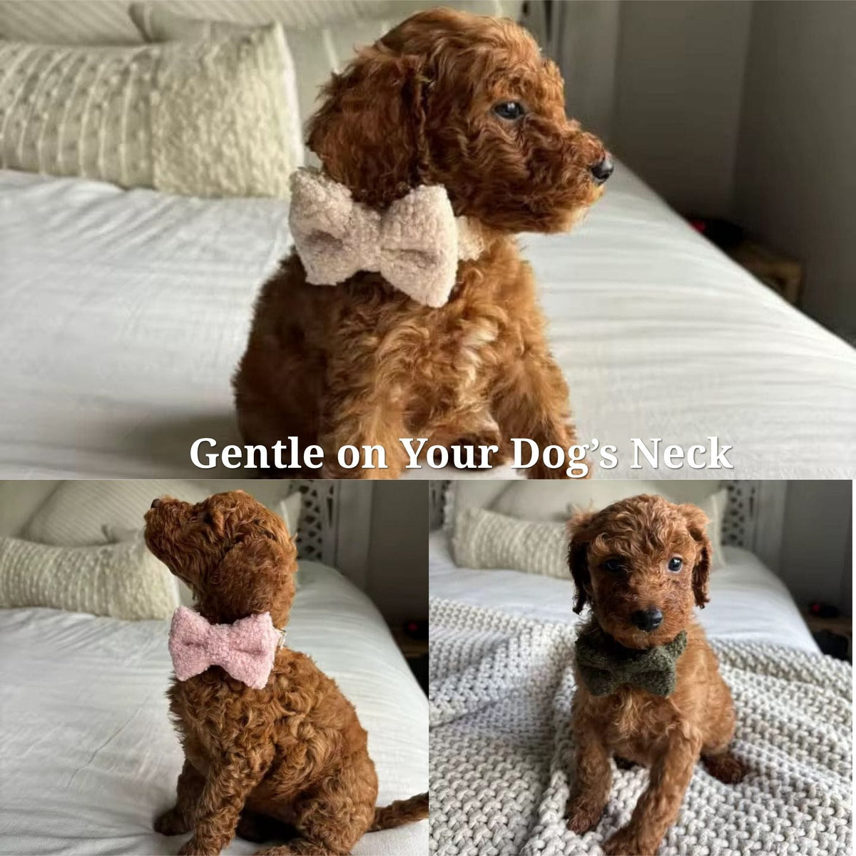 Handmade Knitted Dog Harness Set – Wedding Teddy | Personalized Collar, Leash & Engraved Buckle